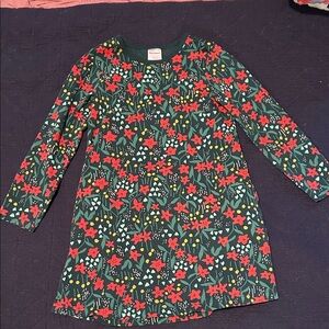Hanna Andersson Green and Red Floral Kids Dress